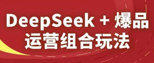 DeepSeek+爆品运营组合玩法，2025淘系精品课-极光网创