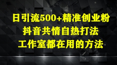 日引流500+精准创业粉，抖音共情自热打法，工作室都在用的方法-极光网创