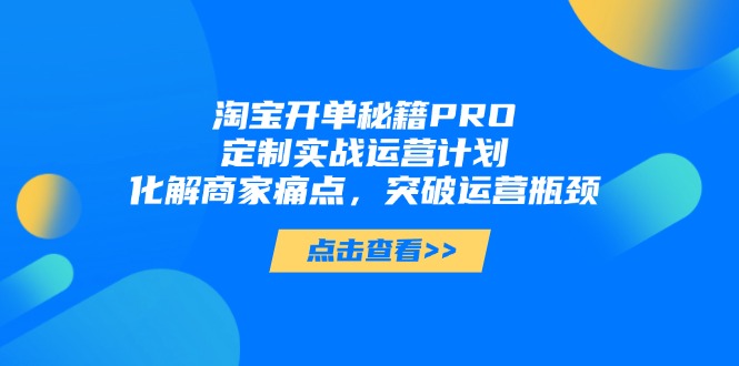 淘宝开单秘籍PRO，定制实战运营计划，化解商家痛点，突破运营瓶颈-极光网创