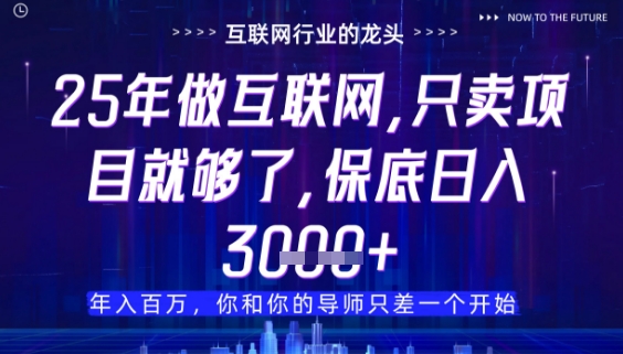 什么！25年你还在找项目做？风口早就变了，卖项目才是稳挣不赔【揭秘】-极光网创