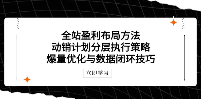 全站盈利布局方法：动销计划分层执行策略，爆量优化与数据闭环技巧-极光网创