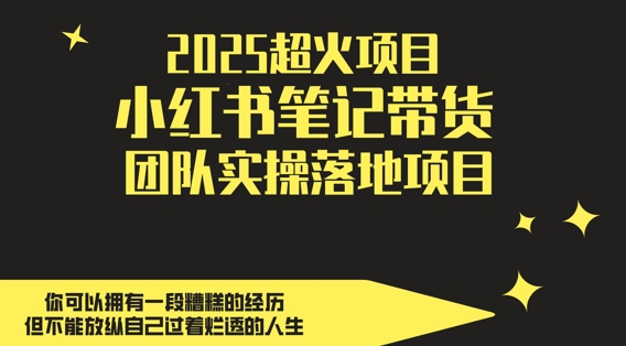 2025超火项目,副业最佳选择,小红书笔记带货团队实操落地项目,,轻松日入5张-极光网创