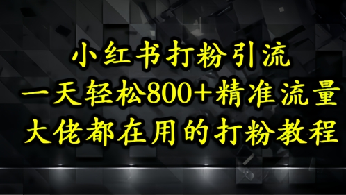 小红书打粉引流，一天轻松500+精准流量，大佬都在用的打粉教程-极光网创