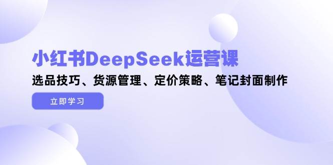 小红书DeepSeek运营课，选品技巧、货源管理、定价策略、笔记封面制作-极光网创