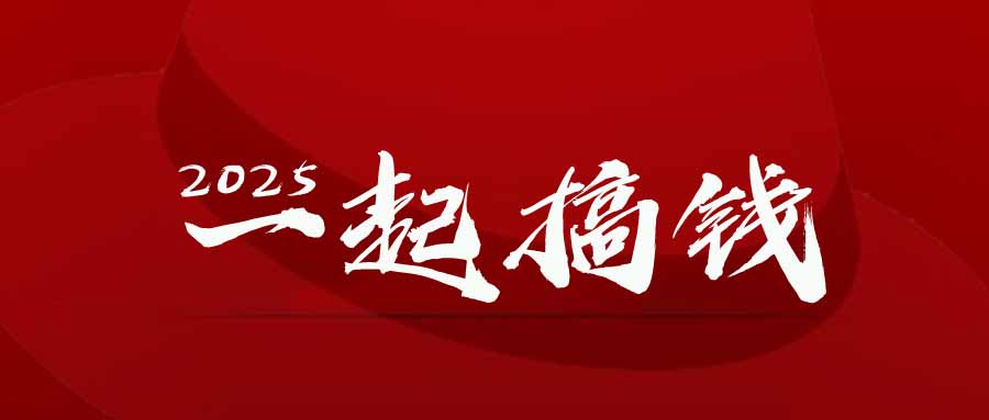 2025年,请“不择手段”去搞钱!-极光网创