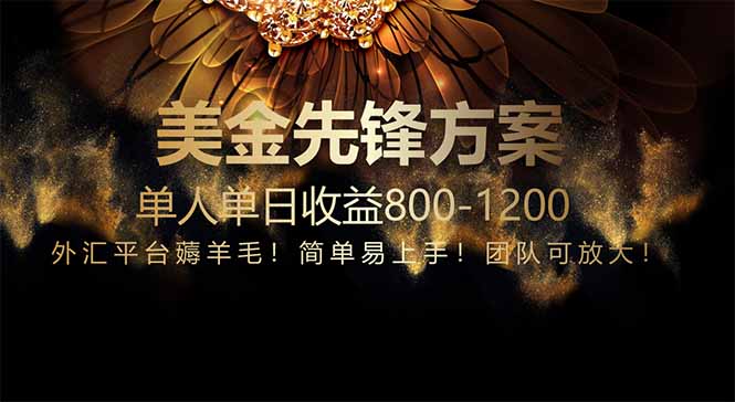 免费技术！小众赛道！一年布局抵三年努力，每日800+-极光网创