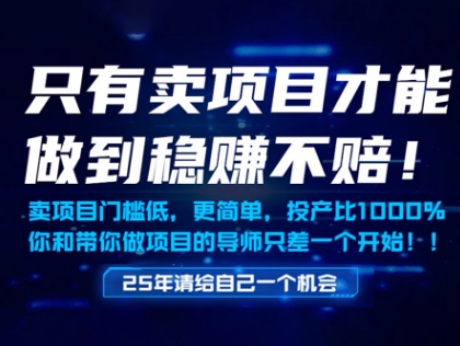 只有卖项目才能做到稳挣不赔，门槛低，更简单，你也可以年入百个W【揭秘】-极光网创