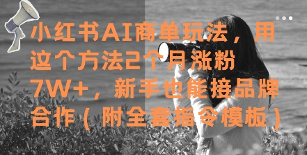 小红书AI商单玩法，用这个方法2个月涨粉7W+，新手也能接品牌合作(附全套指令模板)-极光网创