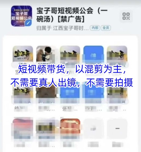 宝子哥头部团队短视频带货，以混剪为主，不需要真人出镜，不需要拍摄【更新】-极光网创