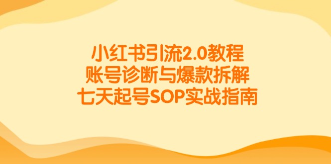 小红书引流2.0教程，账号诊断与爆款拆解，七天起号SOP实战指南-极光网创