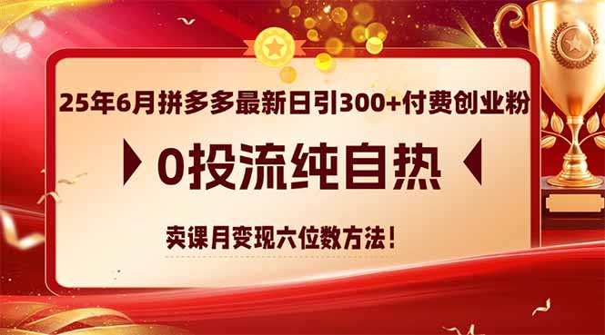 25年6月拼多多最新日引300+付费创业粉，0投流纯自热 卖课月变现六位数方法-极光网创