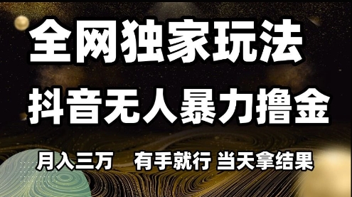 全网独家玩法抖音无人暴力撸金,月入3W,有手就行,当天拿结果【揭秘】-极光网创