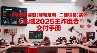 小众暴利赛道(球鞋定制，二创项目)实体+私域2025王炸组合  交付手册-极光网创
