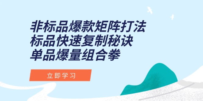 非标品爆款矩阵打法，标品快速复制秘诀，单品爆量组合拳-极光网创