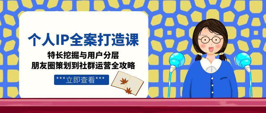 个人IP全案打造课，特长挖掘与用户分层，朋友圈策划到社群运营全攻略-极光网创