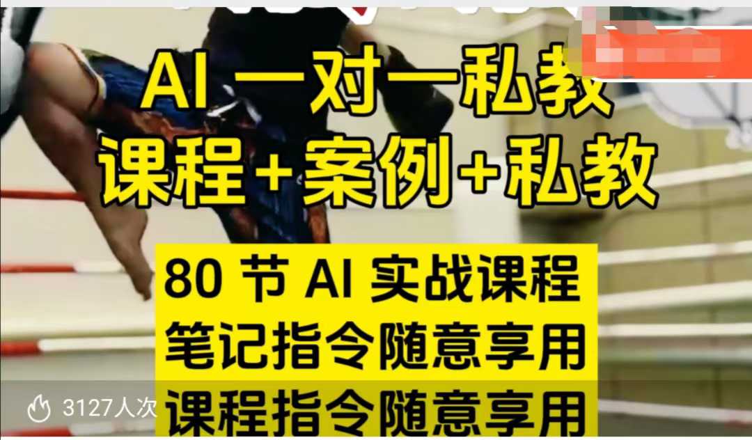 AI指令实战课，课程+案例，80节AI实战课程，笔记指令随意享用，课程指令随意享用(更新7月)-极光网创