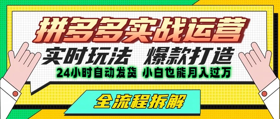 拼多多最新实战运营高投产：长久稳定项目，单店利润一天三位数-极光网创