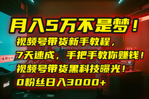 月入5万不是梦！视频号带货新手教程，7天速成，手把手教你赚钱！视频号…-极光网创