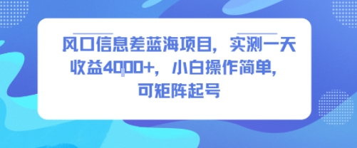 风口信息差蓝海项目，实测一天收益4k+，小白操作简单，可矩阵起号-极光网创