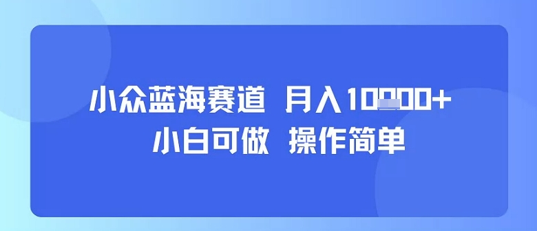 小众蓝海赛道，小白可做，操作简单，每天30分钟，月入1W+-极光网创
