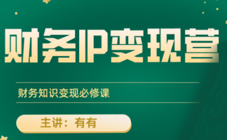 有有老师·财务IP变现营，财务知识变现必修课-极光网创