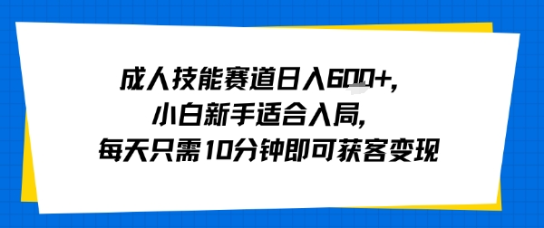 成人技能赛道日入多张，小白新手适合入局，每天只需10分钟即可获客变现-极光网创