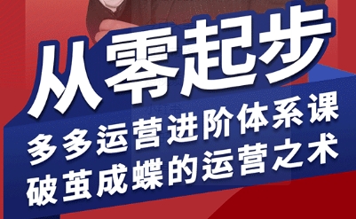 拼多多运营进阶系统课，从零起步，多多运营进阶体系课，破茧成蝶的运营之术-极光网创