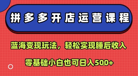 拼多多开店运营课程：蓝海变现玩法，轻松实现睡后收入，零基础小白也可日入5张-极光网创
