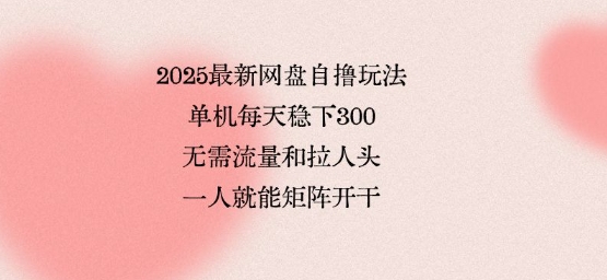 2025最新网盘自撸玩法,单机每天稳下3张,无需流量和拉人头,一个人就可轻松矩阵,全网独一份【揭秘】-极光网创