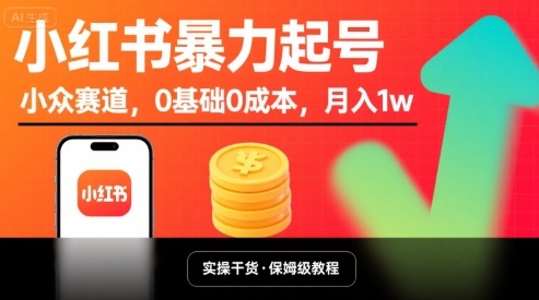 小红书暴力起号,小众赛道,0基础0成本,月入1w-极光网创