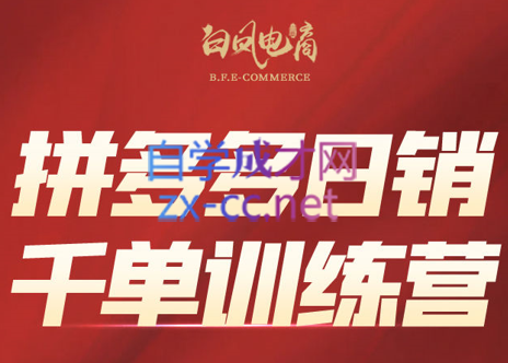 白凤电商·拼多多日销千单训练营(更新8月)-极光网创