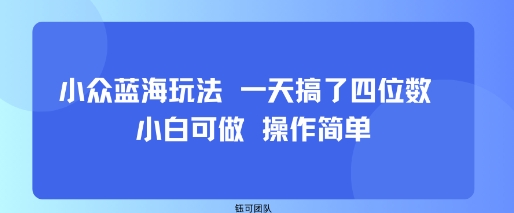 小众蓝海玩法 一天搞了四位数 小白可做 操作简单-极光网创