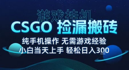 8月最新游戏搬砖，CSGO纯挂G，不需要玩游戏，实现真挂G，月入1W+【揭秘】-极光网创