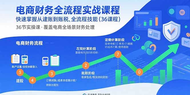 电商财务全流程实战课程：快速掌握从建账到报税的全流程技能(36节课-极光网创