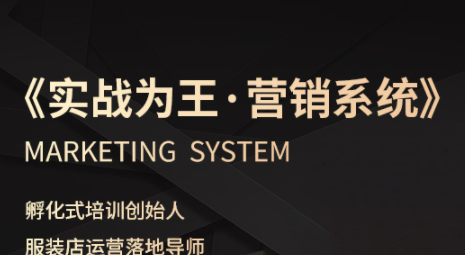 老杨·服装老板必修课《实战为王-营销系统》实现业绩被动式增长-极光网创