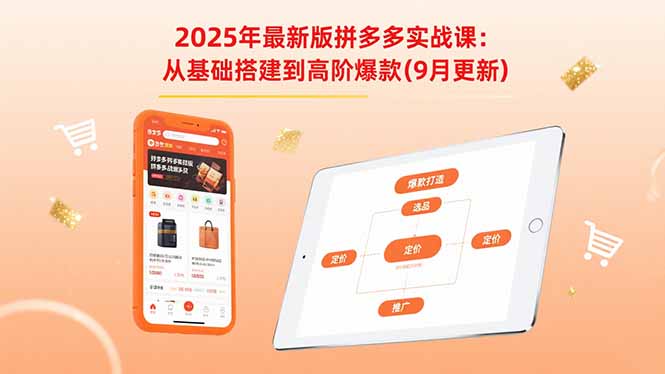 2025年最新版拼多多实战课：从基础搭建到高阶爆款(9月更新-极光网创