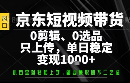 你出账号，我来运营，保底日入1k+，开启躺賺模式【揭秘】-极光网创