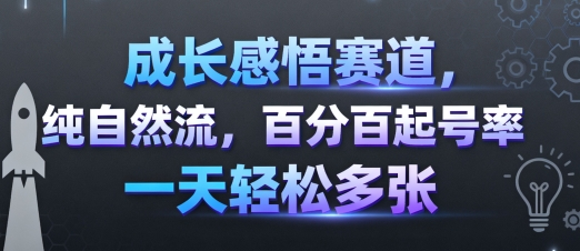 成长感悟赛道，纯自然流，百分百起号率 一天轻松多张-极光网创