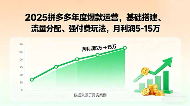 2025拼多多年度爆款运营，基础搭建、流量分配、强付费玩法，月利润5-15万-极光网创