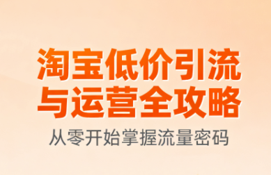 淘宝低价引流与运营全攻略(更新9月)-极光网创