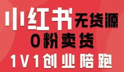 小红书无货源0粉电商课，开店准备、选品策略、笔记撰写、视频剪辑、数据分析、账号打造、资料文档-极光网创