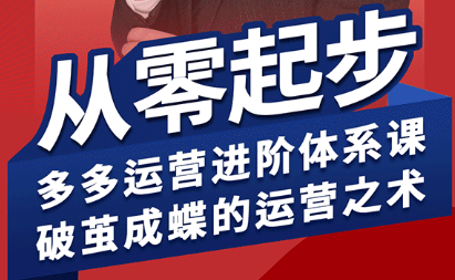 海神·拼多多运营进阶系统课(更新9月)-极光网创