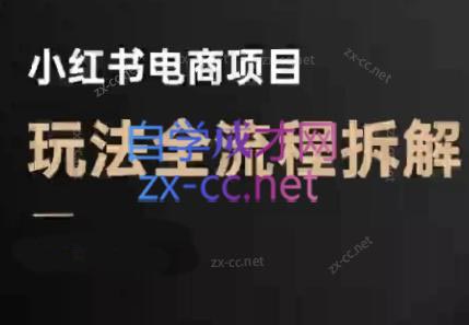 菲菲老师·小红书电商玩法(更新9月)-极光网创