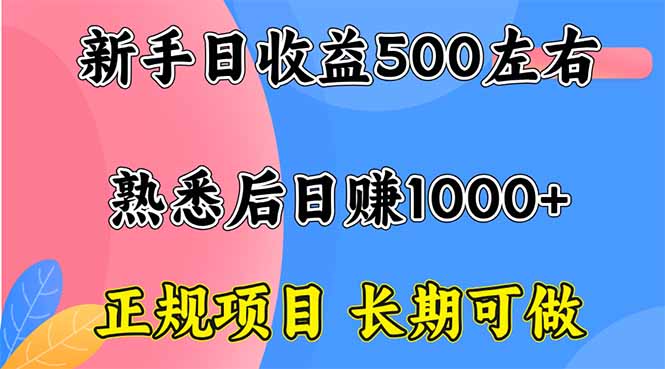新手日收益500+ 正规项目 长期可做-极光网创