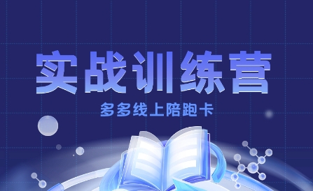 多多实战训练营，从0到1打造一个真正賺钱的店铺-极光网创