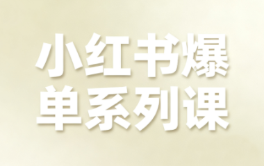 尼采老师·小红书爆单系列课-极光网创