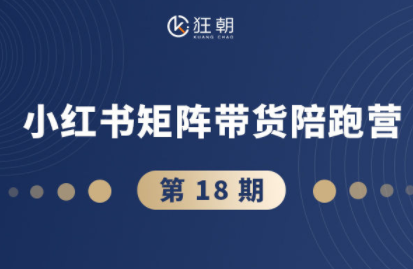 盗坤·抖音小红书视频号短视频带货与直播变现(11-18期)-极光网创