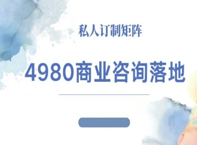 4980商业咨询师落地课程-ip运营高客单教程-极光网创