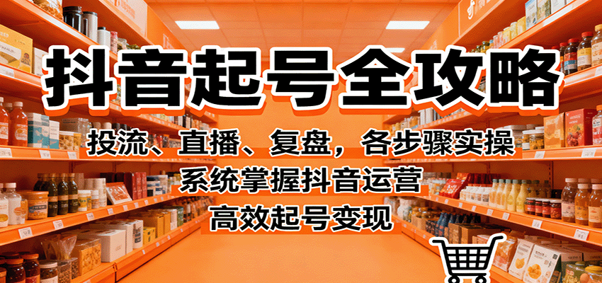 抖音起号全攻略，投流、直播、复盘，各步骤实操，系统掌握抖音运营，高效起号变现-极光网创