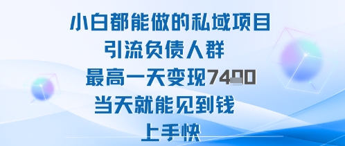 2025年小白都能做的私域项目引流负债人群最高一天变现1k+高变现难度低当天就能见到钱上手快-极光网创